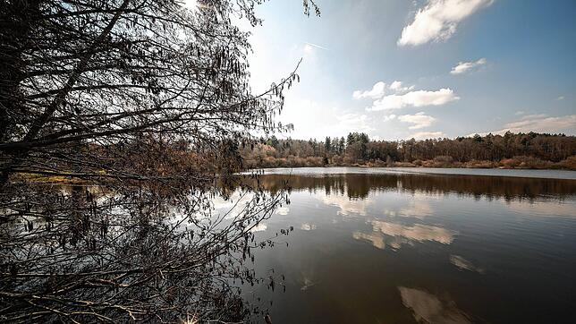 Das Idyll am Güttinger See: Das beliebte Buchenseebad soll doch noch gerettet werden. Nun fordert auch der Gemeinderat eine erneute ...