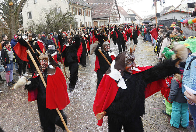 Bild 6: Bilder zum großen Narrentreffen in Pfohren (3)