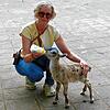 Parkleiterin Martina Schleith agiert selbst die Ziehmama für das Steinbockbaby Helmut. Dessen Mutter ist bei der Geburt vor sechs Wochen ...