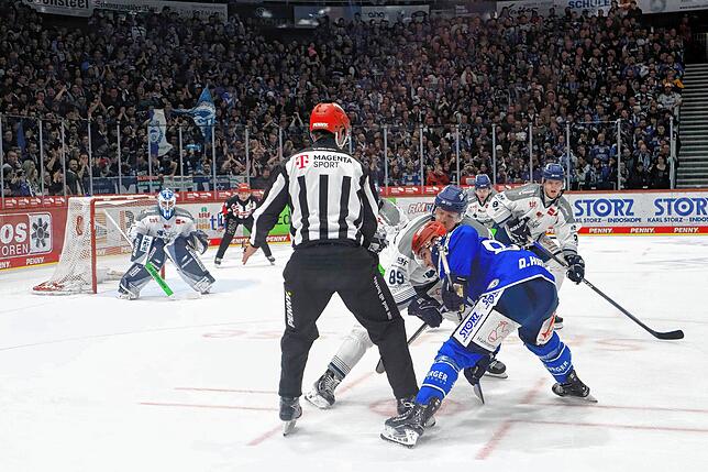 Bild 2: Unsere Bildergalerie vom sechsten Viertelfinalspiel der Wild Wings gegen die Straubing Tigers