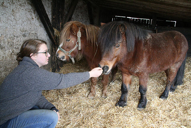Diese Ponys, im Bild mit Kathrin Schindler, waren mangelernährt und sind auf dem Schindlerhof wieder zu Kräften gekommen.