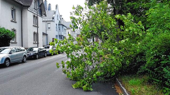 Ein abgebrochener Baum blockiert nach den Sturmböhen einen Teil der Fahrbahn in der Friedrichstraße in Villingen.