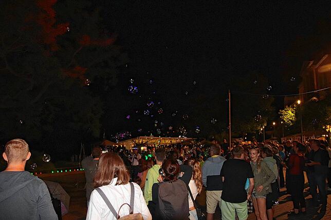 Bild 3: Alle Bilder vom Promenadenfest Überlingen &ndash; Teil 1