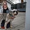 Endlich Glück im neuen Jahr? Auch der Hütehund-Mischling Benny hätte – wie unzählige weitere Tiere – ein liebevolles Zuhause mehr als ...