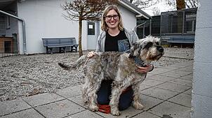 Endlich Glück im neuen Jahr? Auch der Hütehund-Mischling Benny hätte – wie unzählige weitere Tiere – ein liebevolles Zuhause mehr als ...