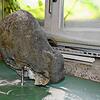 Mutwillig beschädigt wurde die Skulptur Katz und Maus des Bildhauers Leonhard Eder bei der Bäckerei Pfeiffer in Bad Säckingen.