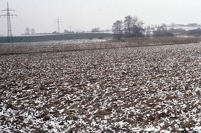Anfang der 1980er-Jahre war das Eisweihergebiet Agrarfläche.