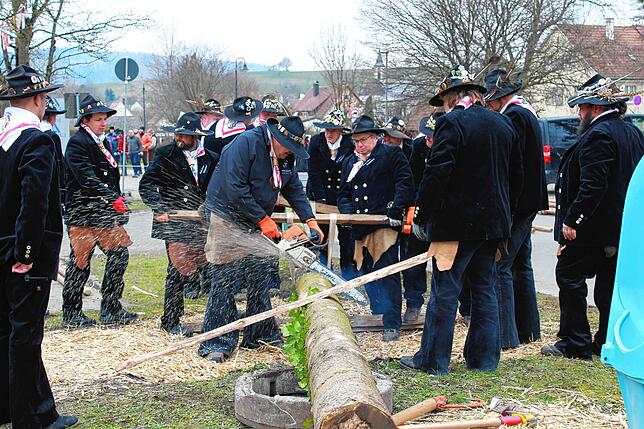 Bild 20: Bilder vom Narrentreffen in Nenzingen