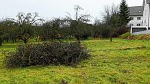 Die Erschließung des Baugebiets Lachenäcker Erweiterung Ost, hier nördlich des Hopfenwegs (rechts), wird voraussichtlich um ein Jahr ...