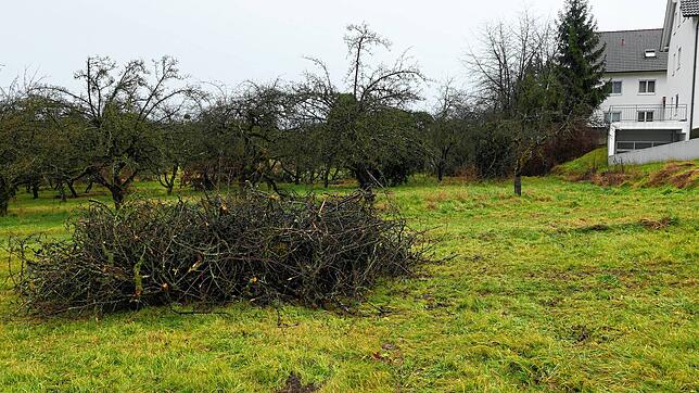 Die Erschließung des Baugebiets Lachenäcker Erweiterung Ost, hier nördlich des Hopfenwegs (rechts), wird voraussichtlich um ein Jahr ...