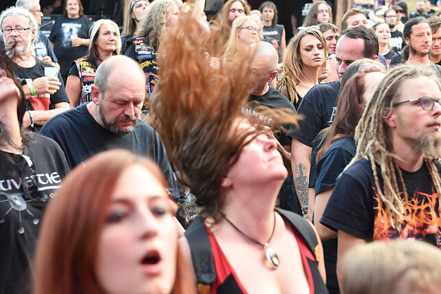 Bild 18: Bilder vom Metalacker in Tennenbronn