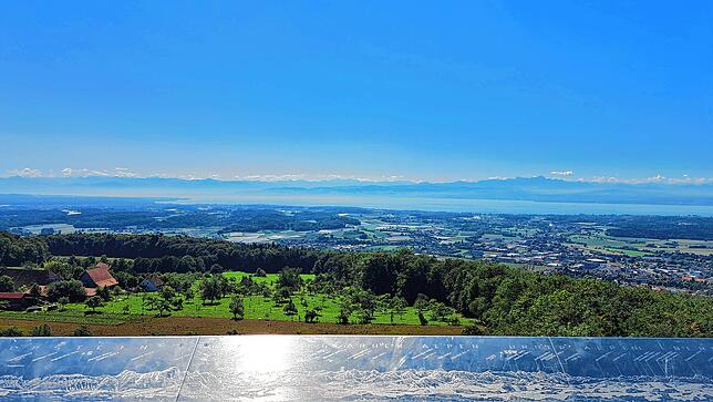 Ausblick vom Gehrenbergturm.
