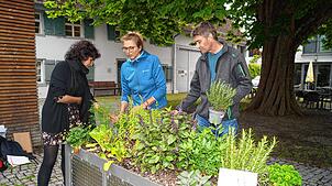 Cristina Aguirre (links) probiert gern, was Christa Balser, Stefan Schwenzig und ihre Kollegen von der Arbeitsgemeinschaft angepflanzt ...