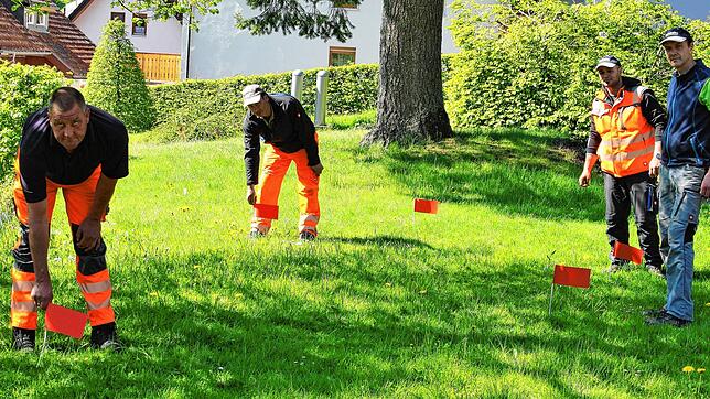 Protestaktion: Mit roten Fähnchen kennzeichneten Mitarbeiter des Todtmooser Bauhofes die im Alten Kurpark gefundenen Hundehaufen. Von ...