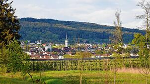 Markdorf soll bis 2035 klimaneutral werden. Dieses Ziel wird künftig ohne weitere Teilnahme am European Energy Award verfolgt.