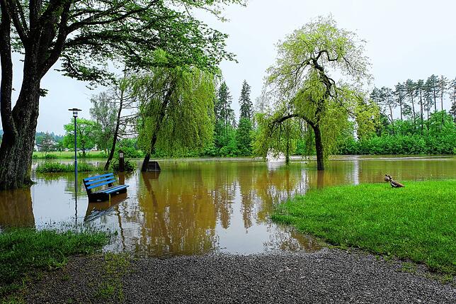 Die Stadt warnt Hundebesitzer: Am Wochenende hat ein Unbekannter Giftköder am Salinensee in Bad Dürrheim ausgelegt.