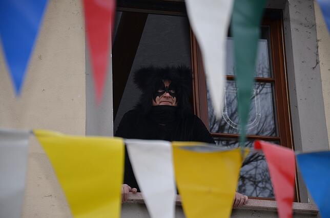Wer guckt denn da aus dem Stettener Rathaus herab? Es ist Fledermaus Daniel Heß.