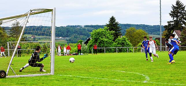 Bild 12: Die besten Bilder vom D-Junioren-Finale zwischen dem FC Radolfzell und dem SC Pfullendorf