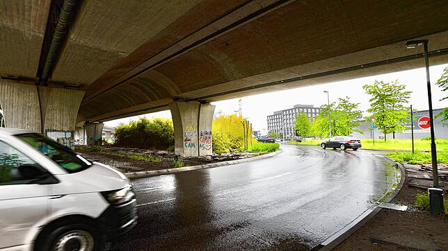 (Archivbild) Hier, am Chaos-Kreisel unterhalb der Schänzlebrücke, gelingt es den Beamten, den 34-jährigen Trunkenbold zu kontrollieren.
