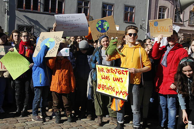 Bild 2: Fridays for Future in Villingen-Schwenningen: Schüler erheben Stimme fürs Klima