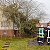 Sturm Sabine wütet auf der Baar: Im Frühjahr fliegen sprichwörtlich die Fetzen. Sturmtief Sabine pustet im Städtedreieck so allerhand ...