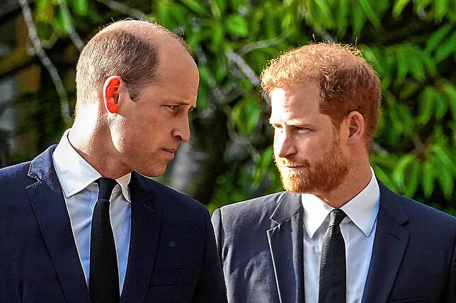 Harrys Enthüllungen über Körperverletzung durch seinen Bruder William belasten die Beziehung zwischen den beiden Prinzen weiter.