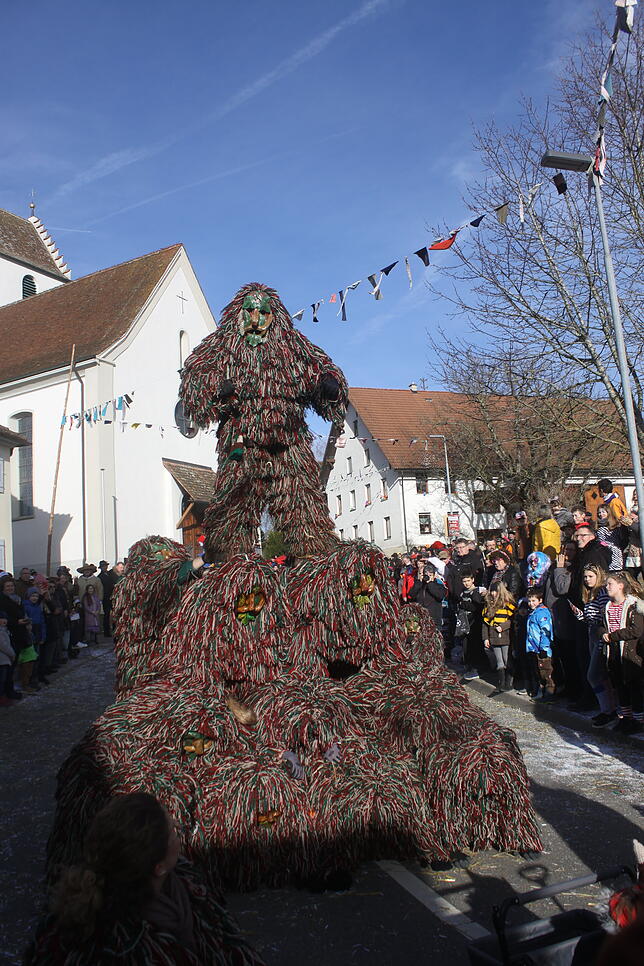 Bild 19: Bilder vom Narrentreffen zum 40. Jubiläum der Kuhsattler aus Hohenfels