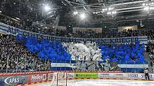 In der Helios-Arena sorgten die Schwenninger Wild Wings am Donnerstagabend für den Ausgleich in der Viertelfinal-Serie. Beim ...