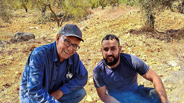 Der Bonndorfer Rolf Rogg unterstützte palästinensische Bauern im Westjordanland drei Wochen lang bei der Olivenernte – zum Schutz für ...