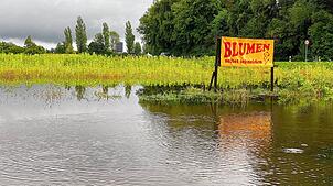 Bild : Eindrücke von den Überflutungen durch Starkregen in Radolfzell