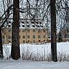Da Biber am Klosterweiher gesichtet und Fraßspuren festgestellt wurden, erhielten die Bäume am Klosterweiher zur Prävention weiterer ...