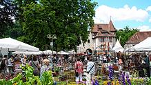 Besucher auf der Diga 2023 auf Schloss Beuggen. Die traditionsreiche Gartenmesse findet jetzt erstmals im Bad Säckinger Schlosspark vor ...