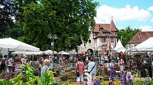 Besucher auf der Diga 2023 auf Schloss Beuggen. Die traditionsreiche Gartenmesse findet jetzt erstmals im Bad Säckinger Schlosspark vor ...