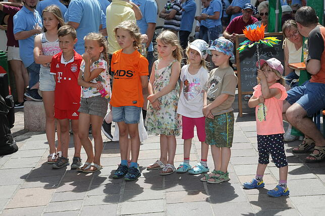 Bild 11: Bilder vom Altstadtfest Engen