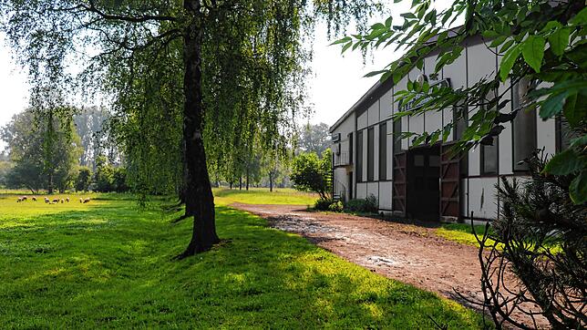 Um das Gelände des ehemaligen Bodenseereiters wird aktuell heftig gestritten. Soll hier ein Hotel gebaut werden oder soll das Areal ...