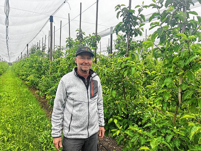 Andreas von Traitteur auf einer seiner Apfelplantagen auf dem Reinachhof in Ailingen. Die Trockenheit macht seinem Obst nicht zu schaffen.