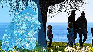 In Langenargen im Bodenseekreis, wo diese Familie spazieren geht, sind die Menschen im Schnitt 47,6 Jahre alt. Damit liegt der Ort über ...