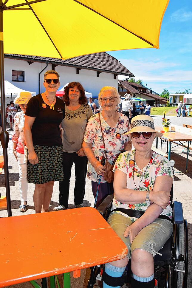 Bild 25: Rosentage Nöggenschwiel