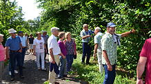 Der Wald erobert sich die Villa Rustica bei Altstadt zurück. In Eigeltingen wurde der Wald komplett gerodet.