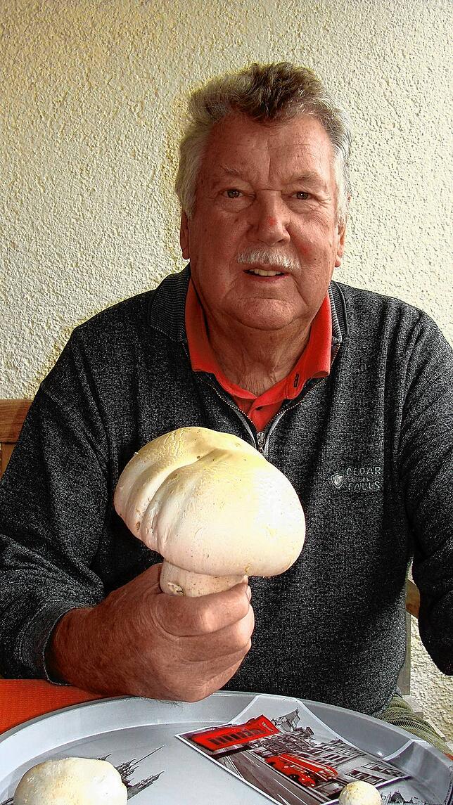Heinz Klasen sammelt seit seiner Kindheit Pilze. Ein solches Champignon-Exemplar allerdings hatte er noch nie im Korb.