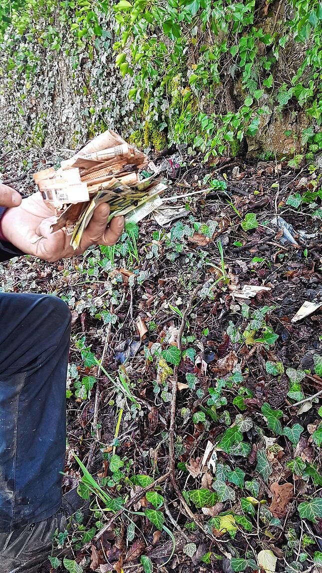 10.000 Euro in Scheinen – ein kurioser Fund auf dem Gelände des Rheinschlosses.