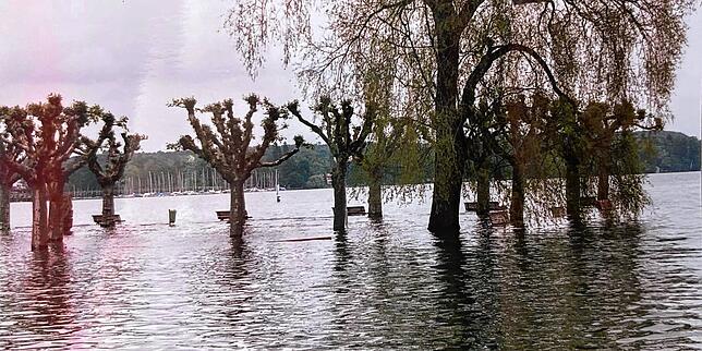 Die Sitzflächen der Bänke sind unter Wasser, während die Lehnen noch aus dem Bodensee ragen. So sah der Stadtgarten im Mai 1999 aus.