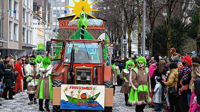 Bild 31: Großer Häfler Narrensprung in der Innenstadt &ndash; Teil 3