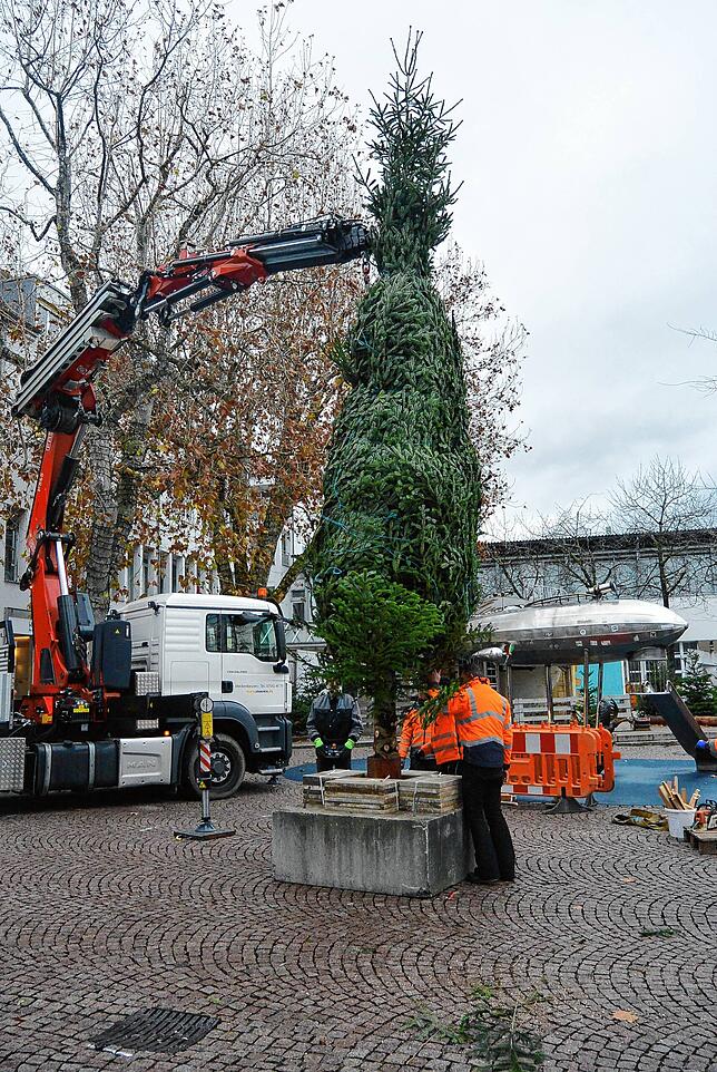 Mit einem Kran wird der acht Meter hohe Weihnachtsbaum aufgestellt.