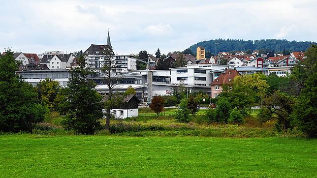 Auf dieser Wiese an der Straße &bdquo;Am Osterholz&ldquo; soll der Aachparksee entstehen. Im Hintergrund verläuft die Dillstraße und ...