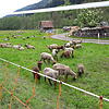 Bild :
