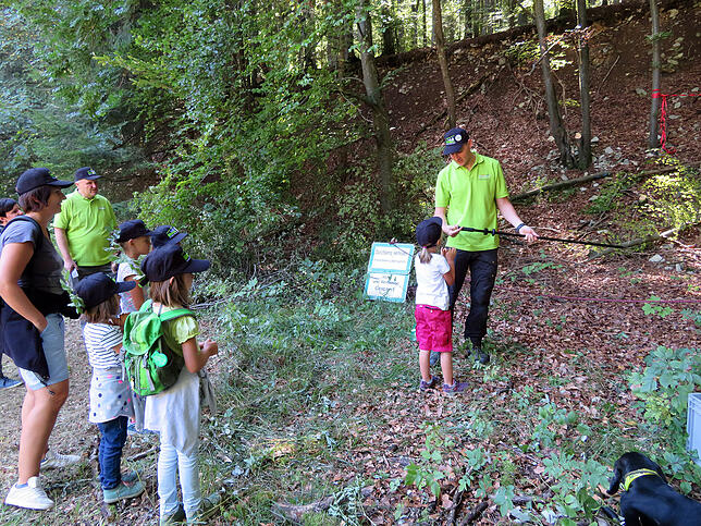 Welche Bedeutung der Wald für Menschen, Tiere und Pflanzen hat, erfahren die Kinder aus erster Hand.