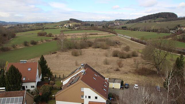 Die Fläche Siechenwiesen am westlichen Ortsausgang kann nicht bebaut werden, sie beheimatet zu viele schützenswerte Arten. Der braune ...