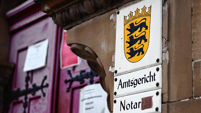 Das Amtsgericht Stockach: Hier wurde die Verhandlung über Niklas Neitschs Einspruch gegen den Bußgeldbescheid verhandelt. (Archivbild)