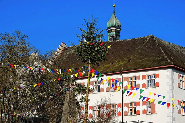 Bild 18: Bilder vom Umzug des Hochrhein Narrentreffens in Tiengen (Teil 1)